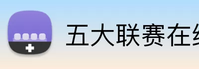 五大联赛在线平台 logo